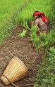 WT 1000 148-11 Nepal